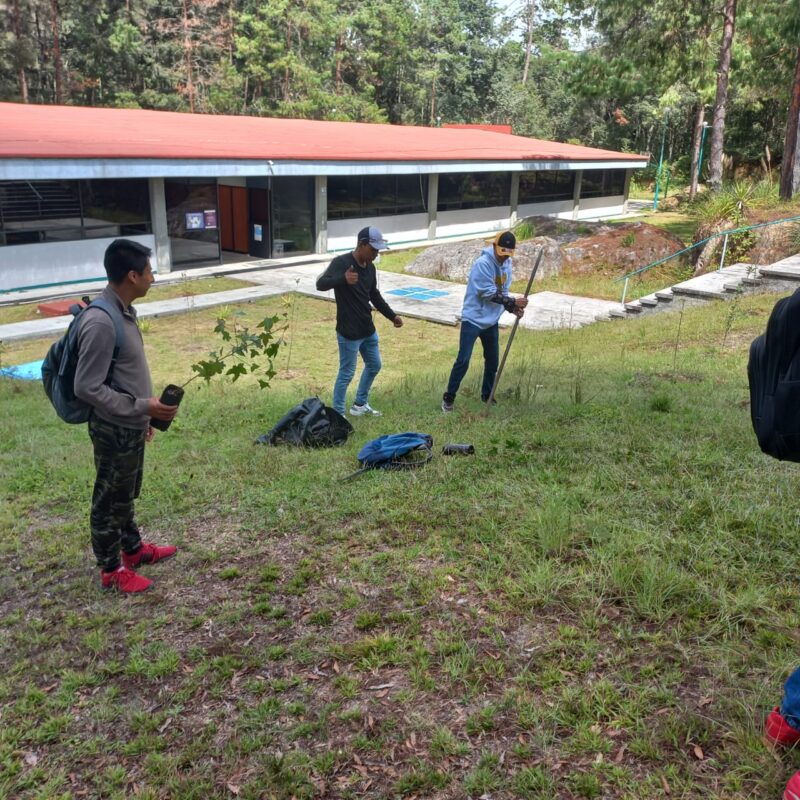 Universidad Tecnológica de la Sierra Hidalguense