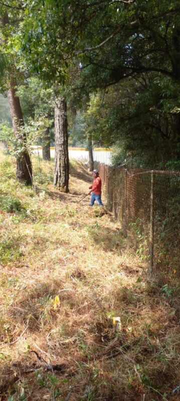 Universidad Tecnológica de la Sierra Hidalguense