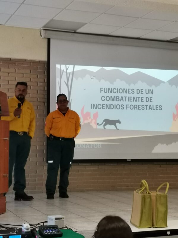 Universidad Tecnológica de la Sierra Hidalguense